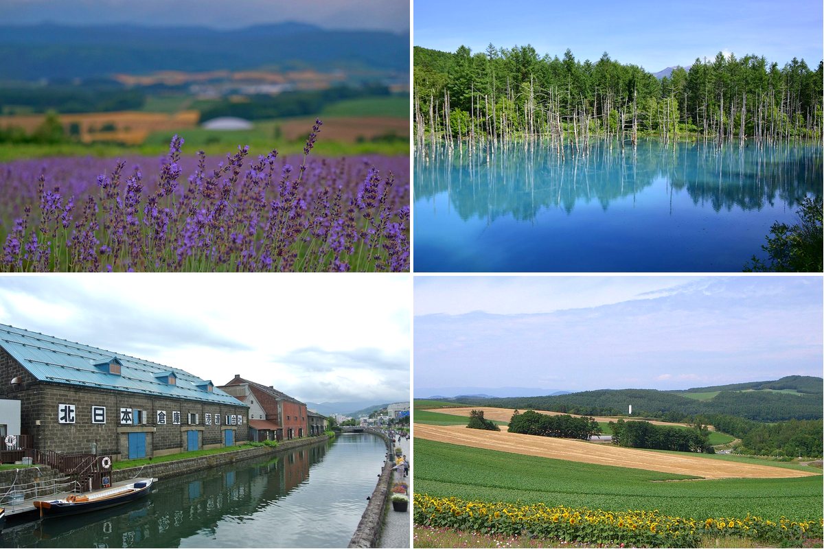 北海道の風景4枚（富良野のラベンダー畑・美瑛の青い池・小樽運河・美瑛のパッチワークの丘）