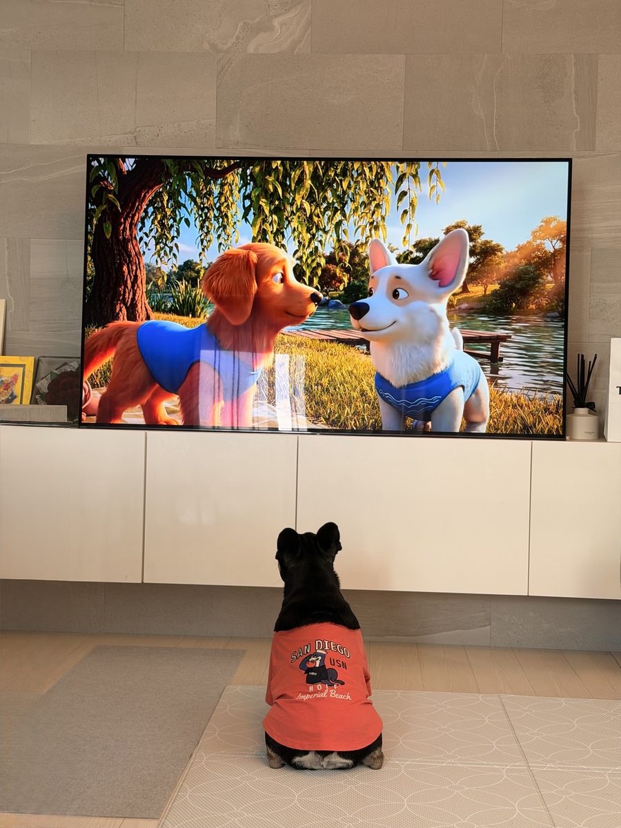 テレビを見るトトロ